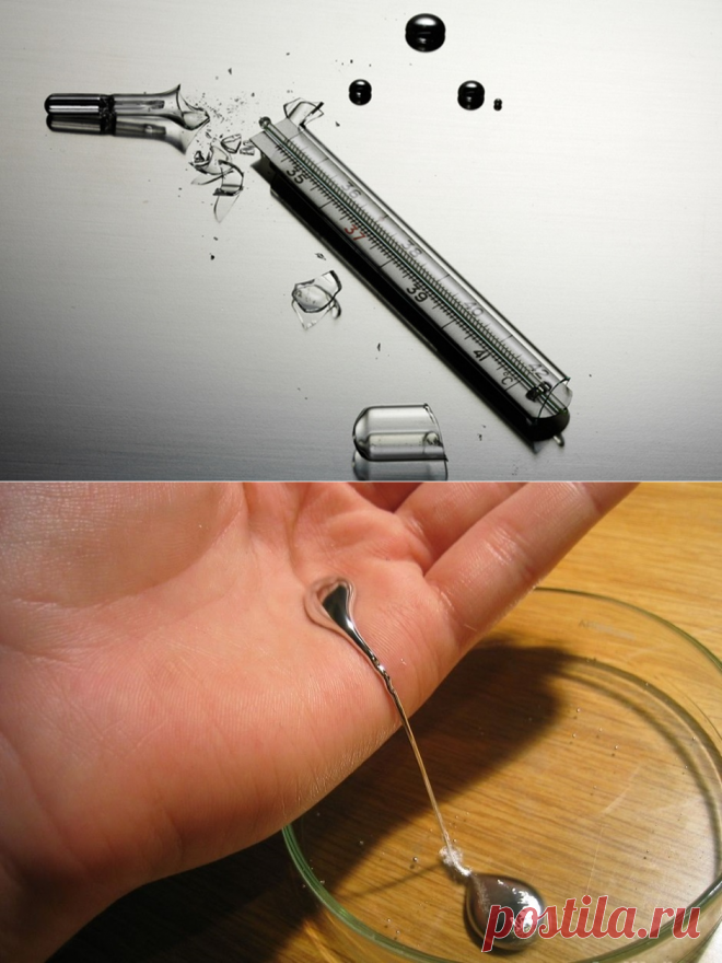 Разбился ртутный градусник: как собрать самому, к кому обращаться?