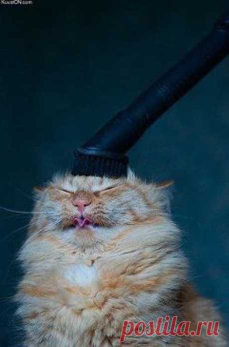 Одноклассники