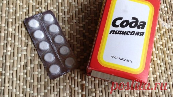 Аспирин и пищевая сода защитят помидоры и огурцы от вредителей и грибковых заболеваний | Любимая Дача | Яндекс Дзен