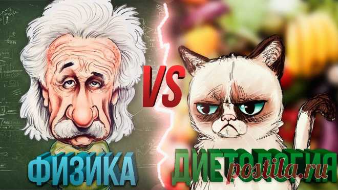 Как Кот Шредингера Эйнштейна Худеть Учил | Блог Ярослава Брина