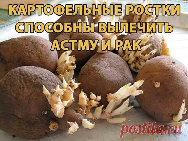 Картофельные ростки способны вылечить астму и рак 
Сохрани у себя в ЗАМЕТКАХ, жми ПОДЕЛИТЬСЯ !!! 
Рекомендуем вам ознакомиться со средством, которое способно излечить многие тяжелые заболевания и даже рак.
Показать полностью…