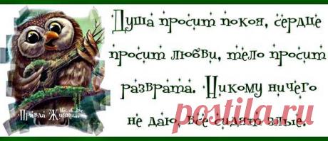 Правда жизни в картинках №1