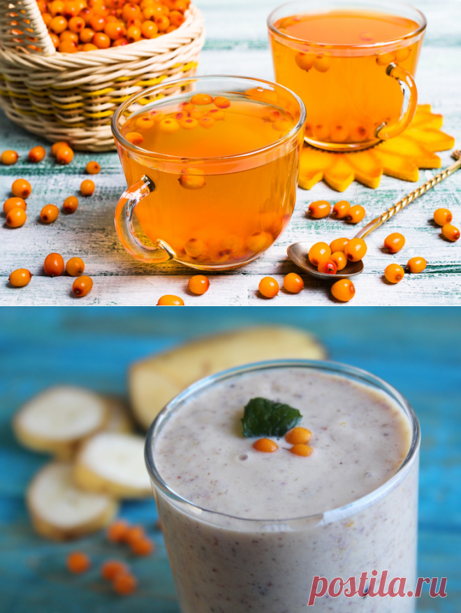 Что вкусного приготовить из облепихи