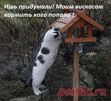 Афоризмы и цитаты 15 часть 7