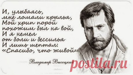 Я не люблю себя, когда я трушу,
Обидно мне, когда невинных бьют,
Я не люблю, когда мне лезут в душу,
Тем более, когда в нее плюют.﻿