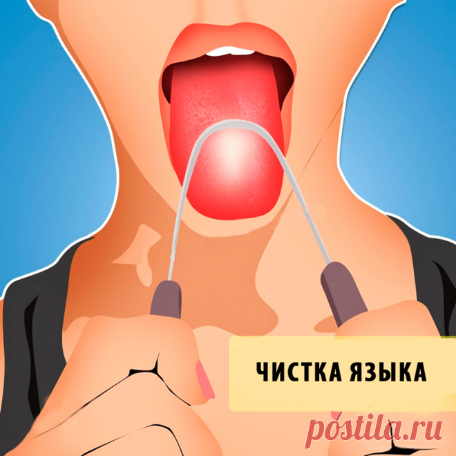 4 утренние процедуры, с которых стоит начинать свой день