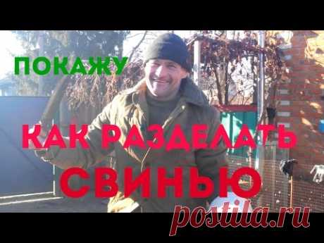 Как разделать свиную тушу в домашних условиях. Мастер-класс от мясника - разделка свинины.