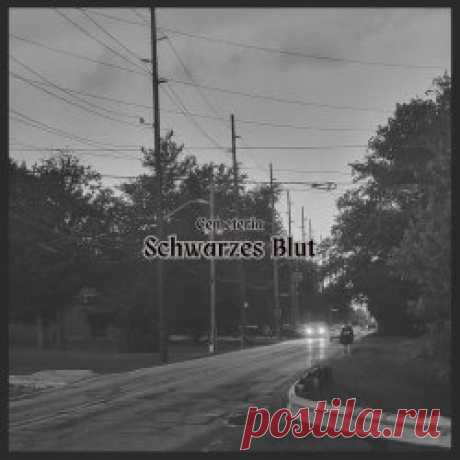 Cemeteria - Schwarzes Blut (2025) [Single] Artist: Cemeteria Album: Schwarzes Blut Year: 2025 Country: USA Style: Post-Punk, Darkwave, Coldwave