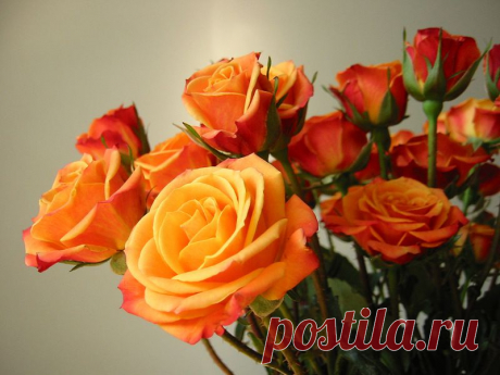 Письмо «сообщение Schamada : Обои на рабочий стол. (22:42 31-05-2014) [3907317/326373420]» — Schamada — Яндекс.Почта