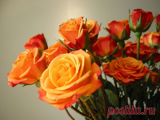 Письмо «сообщение Schamada : Обои на рабочий стол. (22:42 31-05-2014) [3907317/326373420]» — Schamada — Яндекс.Почта