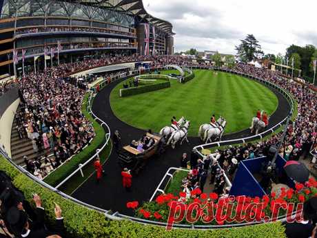 Королевские скачки ROYAL ASCOT – история и традиции
