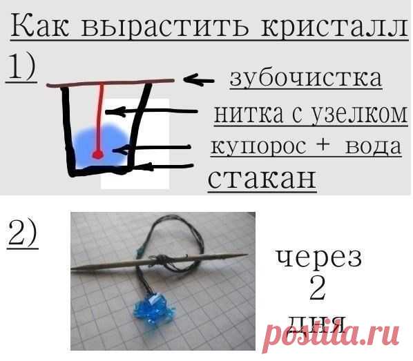 Хитрости Жизни