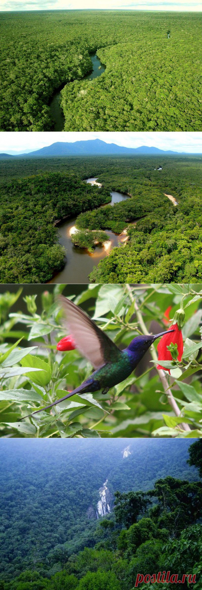 Большое фотопутешествие по лесам Амазонки