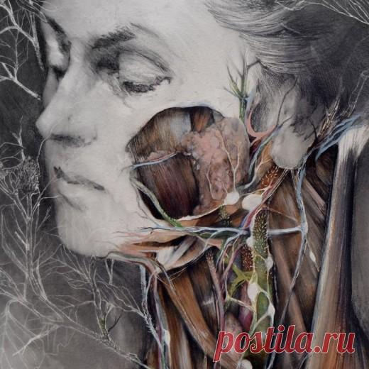 КАК ВАШЕ ТЕЛО ФОРМИРУЕТ СУДЬБУ? 
Знаете ли вы, что в вашем теле запечатлена вся история вашей жизни? И эта же история Прошлого является тем кодом, на базе которого формируется ваше Будущее.
Т.е. все ваши ментальные переживания, кото…