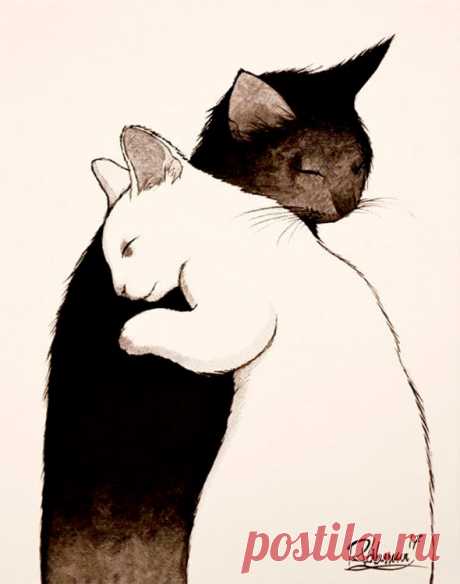 Самые милые нарисованные котики