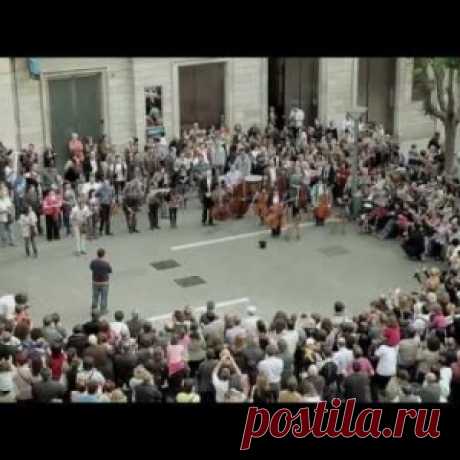 Эта девочка кинула пару монет в шляпу музыканта. То, что произошло после, поразило весь город!