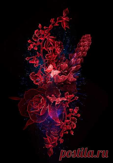 Цветной digital art от Obery Nicolas