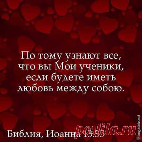 Новость для живых