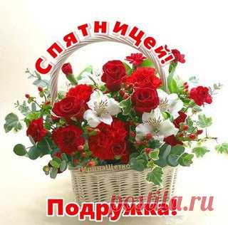 Svetlana Bolotova – Google+