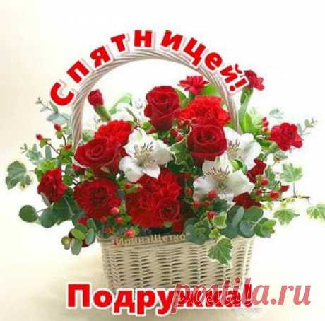 Svetlana Bolotova – Google+
