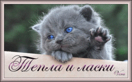 s-2006.gif (420×263)