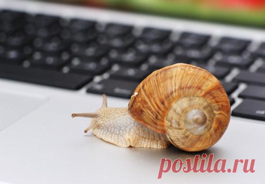 Как узнать, почему упала скорость интернета?