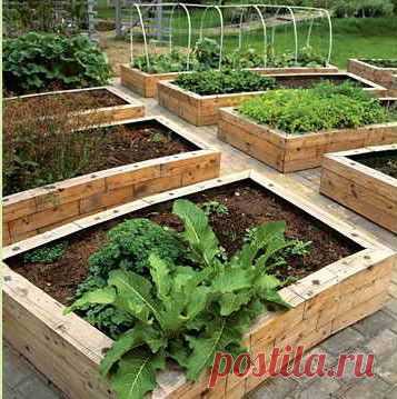 Как сделать высокую грядку на даче | Дача - впрок
