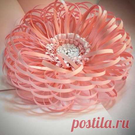 Цветы из бумаги