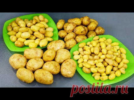 Наконец-то пришло время для этого рецепта! Картофель &quot;Золотистый&quot; | Кухня наизнанку | Яндекс Дзен