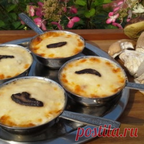 Жульен из белых грибов