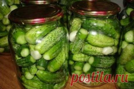 Огурцы консервированные с лимонной кислотой. Как консервировать огурцы на зиму?