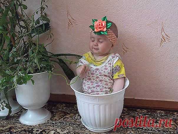 УЛЫБНЁМСЯ с нежностью. НАШИ ЦВЕТЫ ЖИЗНИ во всей своей красе