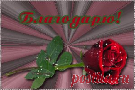 Осторожно, Корвалол!