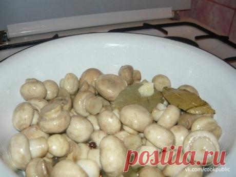 Маринованные грибочки.