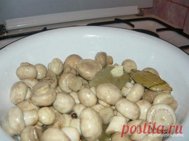 Маринованные грибочки.