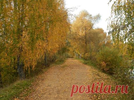 Листья шуршат под ногами. Приглашаю на прогулку.