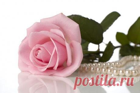 Благословение от Бога - Главная страница