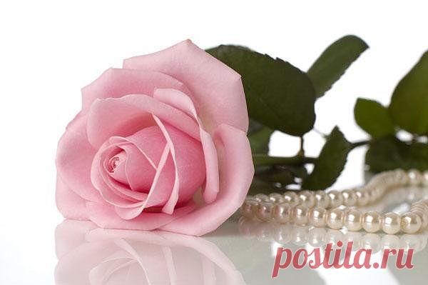 Благословение от Бога - Главная страница