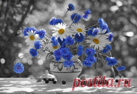 ромашки с васильками