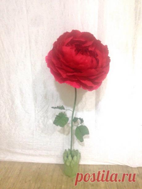 Мастер-классы. Цветы из бумаги. Фотозоны. МК