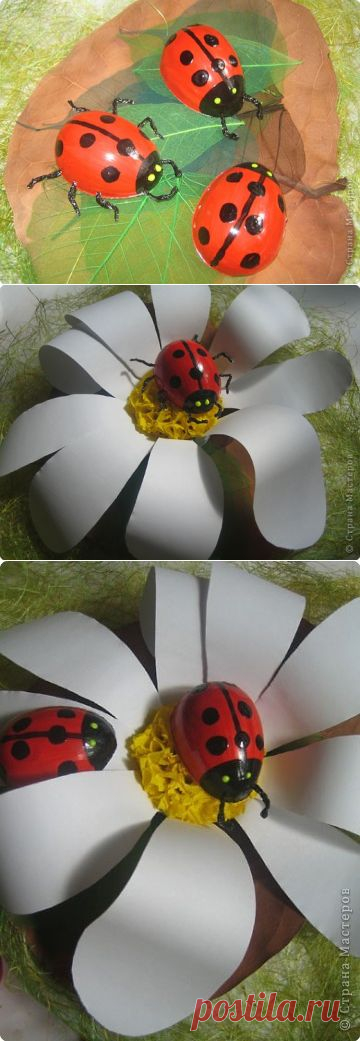 Божья коровка