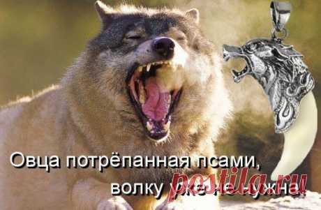 Одноклассники
