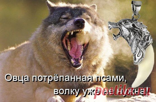 Одноклассники