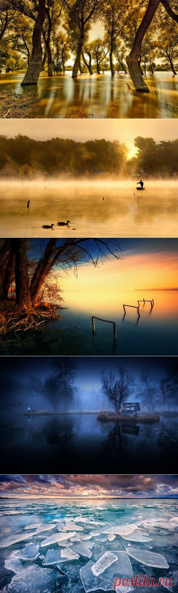 Волшебные этюды о природе Адама Добровица | Современное искусство