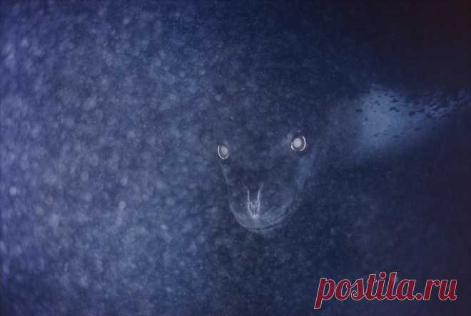 25 пугающих фотографий, доказывающих, что природа может быть по-настоящему страшной
