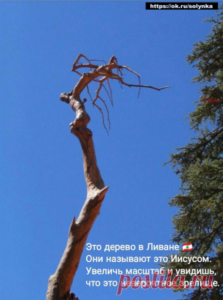 юмор позитив