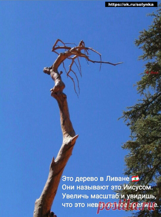 юмор позитив
