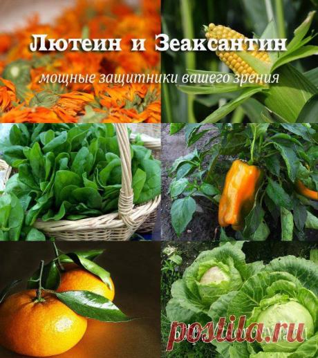 Как улучшить зрение питанием?