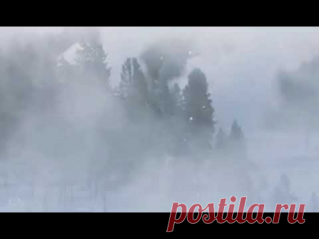 Михаил Мамаев - наш благородный Гардемарин