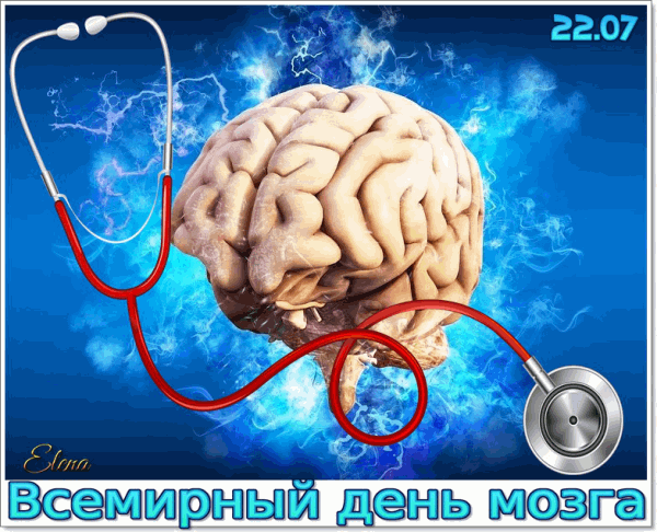 оловной мозг – это центр нашего мышления, чувств, памяти, речи и движения. Он управляет всеми функциями нашего тела и отвечает за нашу личность.